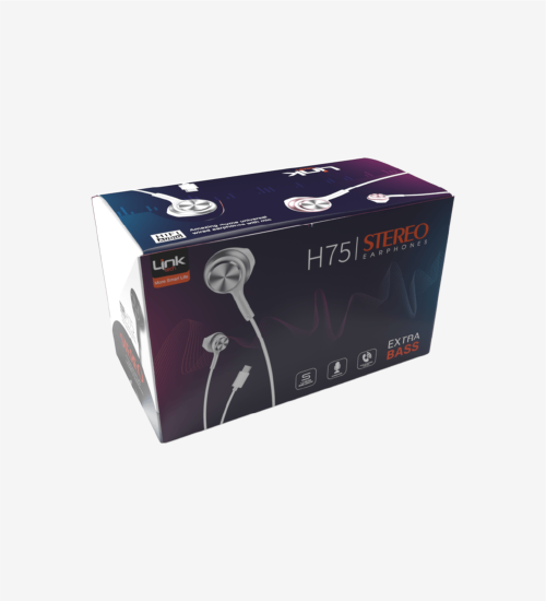 H75 EarPhone Yüksek Bas Mikrofonlu Tip-C Kulak İçi Kablolu Kulaklık